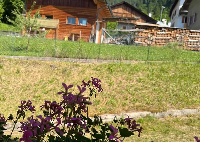 La Piccola Noghera Appartamento Pieve di Cadore