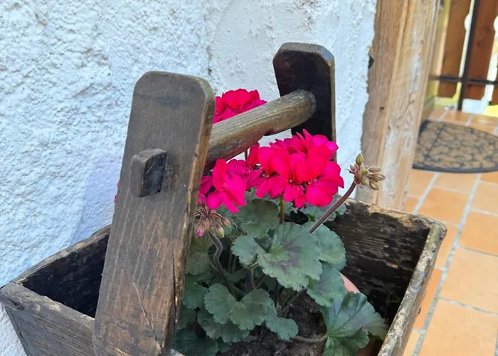 Appartamento La Piccola Noghera