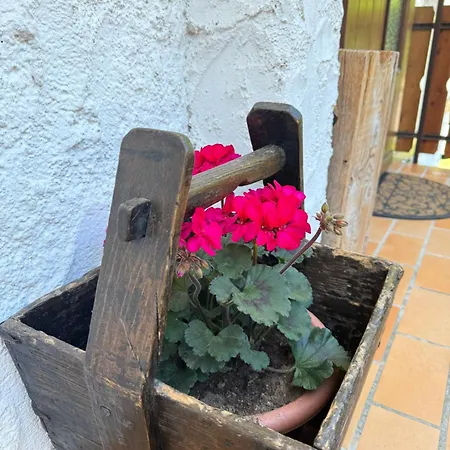 公寓 La Piccola Noghera